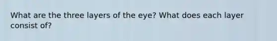 What are the three layers of the eye? What does each layer consist of?