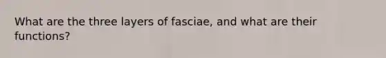 What are the three layers of fasciae, and what are their functions?