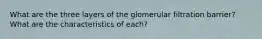 What are the three layers of the glomerular filtration barrier? What are the characteristics of each?