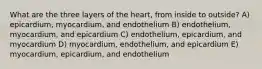 What are the three layers of the heart, from inside to outside? A) epicardium, myocardium, and endothelium B) endothelium, myocardium, and epicardium C) endothelium, epicardium, and myocardium D) myocardium, endothelium, and epicardium E) myocardium, epicardium, and endothelium