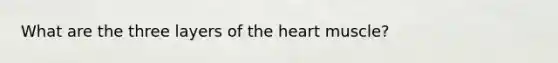 What are the three layers of the heart muscle?