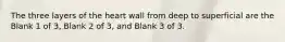 The three layers of the heart wall from deep to superficial are the Blank 1 of 3, Blank 2 of 3, and Blank 3 of 3.