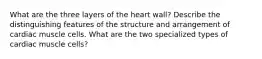 What are the three layers of the heart wall? Describe the distinguishing features of the structure and arrangement of cardiac muscle cells. What are the two specialized types of cardiac muscle cells?