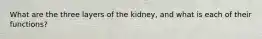 What are the three layers of the kidney, and what is each of their functions?