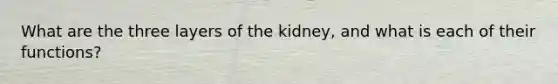 What are the three layers of the kidney, and what is each of their functions?