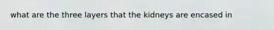 what are the three layers that the kidneys are encased in