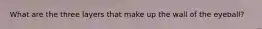 What are the three layers that make up the wall of the eyeball?