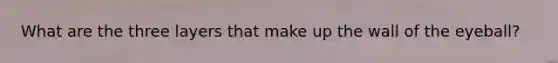 What are the three layers that make up the wall of the eyeball?