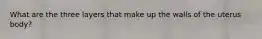What are the three layers that make up the walls of the uterus body?