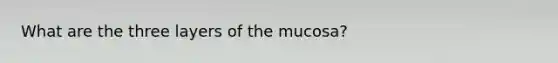 What are the three layers of the mucosa?