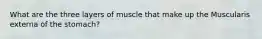 What are the three layers of muscle that make up the Muscularis externa of the stomach?