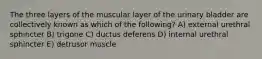 The three layers of the muscular layer of the urinary bladder are collectively known as which of the following? A) external urethral sphincter B) trigone C) ductus deferens D) internal urethral sphincter E) detrusor muscle