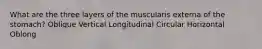 What are the three layers of the muscularis externa of the stomach? Oblique Vertical Longitudinal Circular Horizontal Oblong