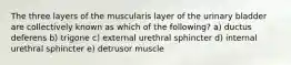 The three layers of the muscularis layer of the urinary bladder are collectively known as which of the following? a) ductus deferens b) trigone c) external urethral sphincter d) internal urethral sphincter e) detrusor muscle