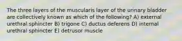 The three layers of the muscularis layer of the urinary bladder are collectively known as which of the following? A) external urethral sphincter B) trigone C) ductus deferens D) internal urethral sphincter E) detrusor muscle