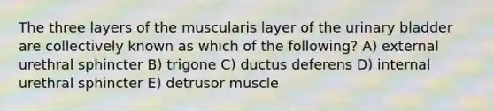 The three layers of the muscularis layer of the <a href='https://www.questionai.com/knowledge/kb9SdfFdD9-urinary-bladder' class='anchor-knowledge'>urinary bladder</a> are collectively known as which of the following? A) external urethral sphincter B) trigone C) ductus deferens D) internal urethral sphincter E) detrusor muscle