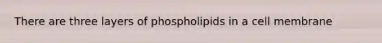 There are three layers of phospholipids in a cell membrane