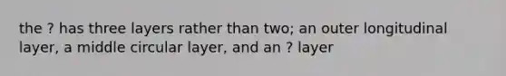 the ? has three layers rather than two; an outer longitudinal layer, a middle circular layer, and an ? layer