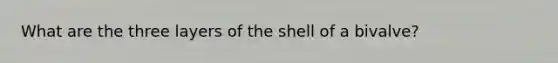 What are the three layers of the shell of a bivalve?