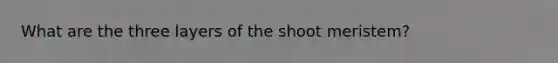 What are the three layers of the shoot meristem?