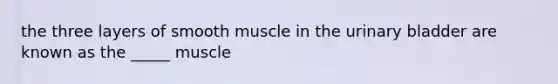 the three layers of smooth muscle in the <a href='https://www.questionai.com/knowledge/kb9SdfFdD9-urinary-bladder' class='anchor-knowledge'>urinary bladder</a> are known as the _____ muscle