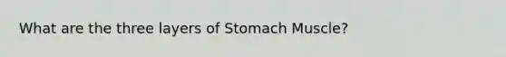 What are the three layers of Stomach Muscle?