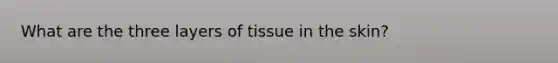 What are the three layers of tissue in the skin?