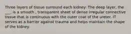 Three layers of tissue surround each kidney: The deep layer, the ___, is a smooth , transparent sheet of dense irregular connective tissue that is continuous with the outer coat of the ureter. IT serves as a barrier against trauma and helps maintain the shape of the kidney.