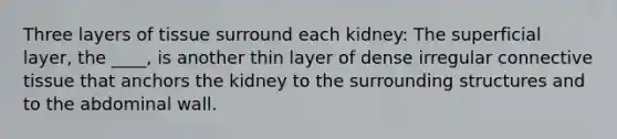 Three layers of tissue surround each kidney: The superficial layer, the ____, is another thin layer of dense irregular connective tissue that anchors the kidney to the surrounding structures and to the abdominal wall.