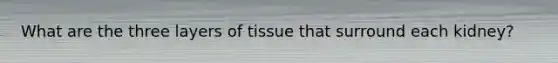 What are the three layers of tissue that surround each kidney?