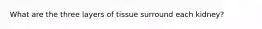 What are the three layers of tissue surround each kidney?