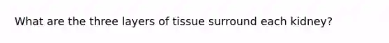 What are the three layers of tissue surround each kidney?