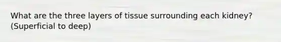 What are the three layers of tissue surrounding each kidney? (Superficial to deep)