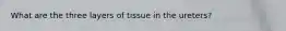 What are the three layers of tissue in the ureters?
