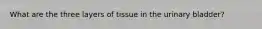 What are the three layers of tissue in the urinary bladder?