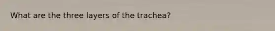 What are the three layers of the trachea?