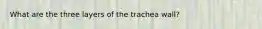 What are the three layers of the trachea wall?