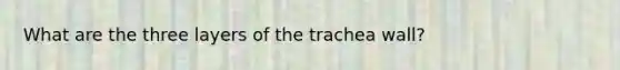 What are the three layers of the trachea wall?