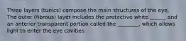 Three layers (tunics) compose the main structures of the eye. The outer (fibrous) layer includes the protective white ______ and an anterior transparent portion called the ________, which allows light to enter the eye cavities.