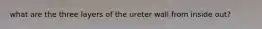 what are the three layers of the ureter wall from inside out?