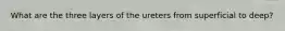 What are the three layers of the ureters from superficial to deep?