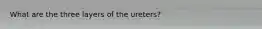 What are the three layers of the ureters?