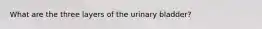 What are the three layers of the urinary bladder?