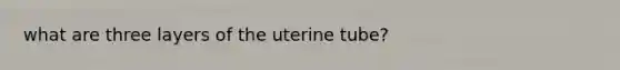 what are three layers of the uterine tube?