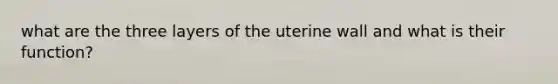 what are the three layers of the uterine wall and what is their function?