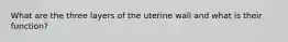 What are the three layers of the uterine wall and what is their function?