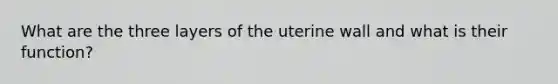 What are the three layers of the uterine wall and what is their function?