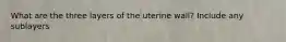 What are the three layers of the uterine wall? Include any sublayers