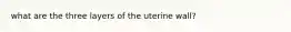 what are the three layers of the uterine wall?