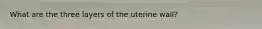 What are the three layers of the uterine wall?